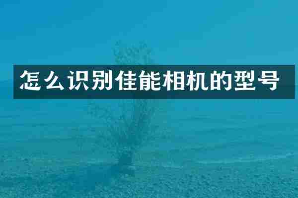怎么识别佳能相机的型号
