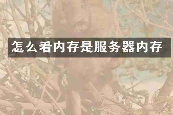 怎么看内存是服务器内存