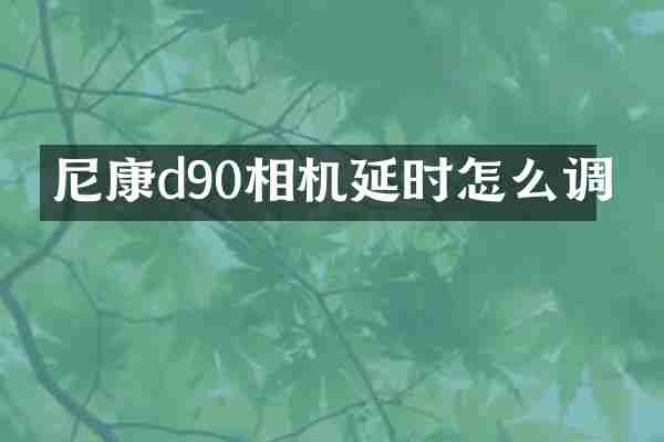 尼康d90相机延时怎么调