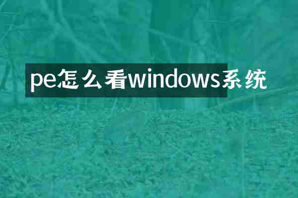 pe怎么看windows系统