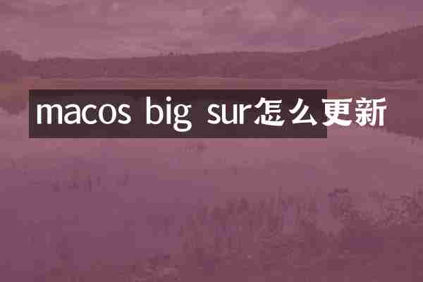 macos big sur怎么更新