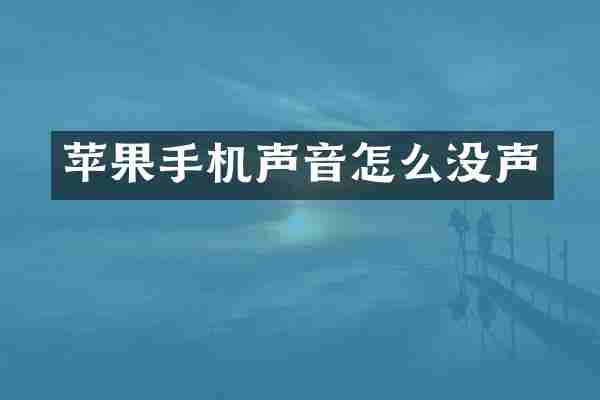 苹果手机声音怎么没声