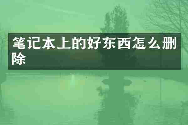 笔记本上的好东西怎么删除