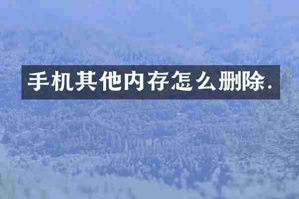 手机其他内存怎么删除.
