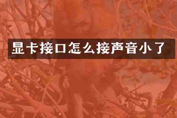 显卡接口怎么接声音小了
