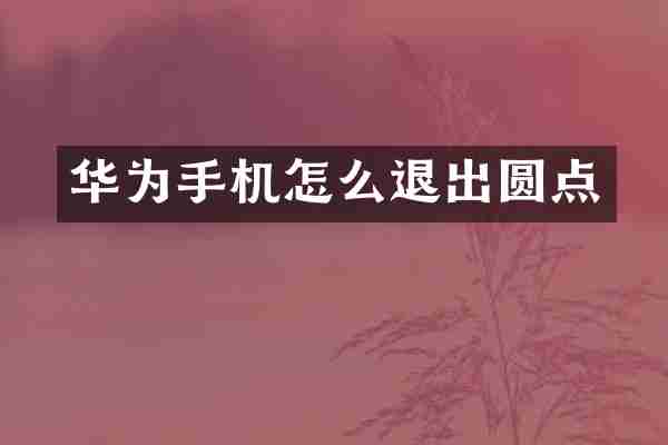 华为手机怎么退出圆点