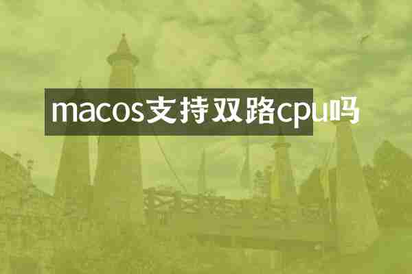 macos支持双路cpu吗