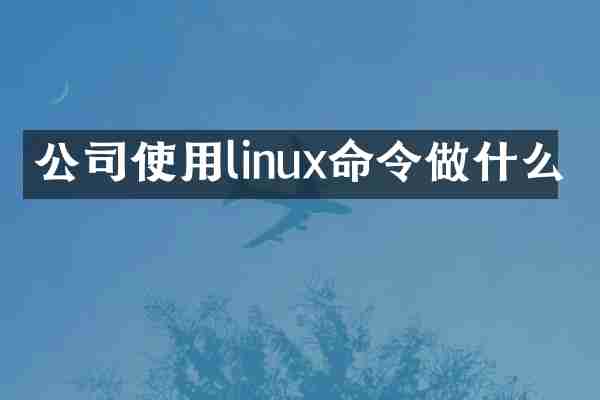 公司使用linux命令做什么