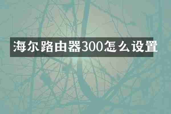 海尔路由器300怎么设置