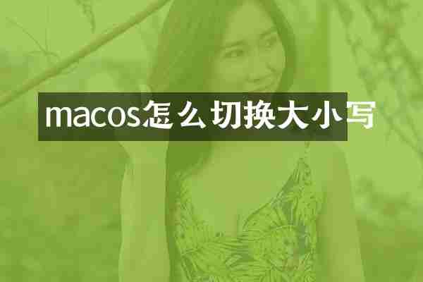 macos怎么切换大小写