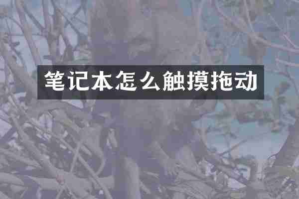 笔记本怎么触摸拖动