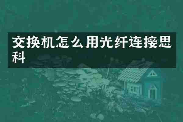 交换机怎么用光纤连接思科