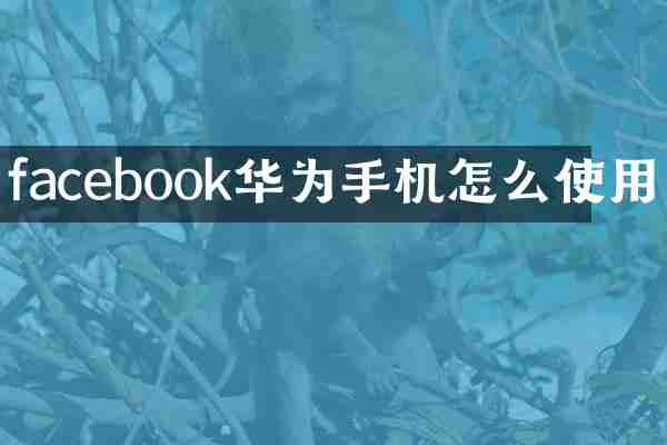 facebook华为手机怎么使用