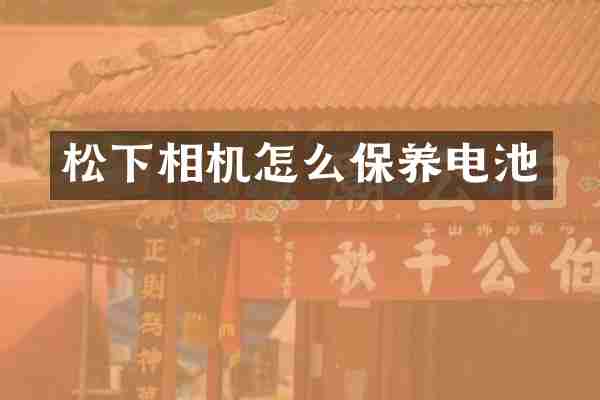 相机怎么保养电池