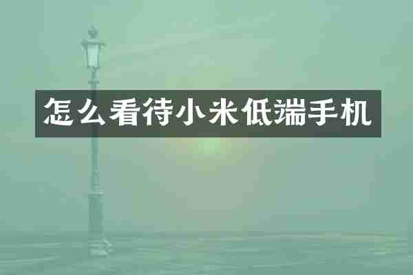 怎么看待小米低端手机