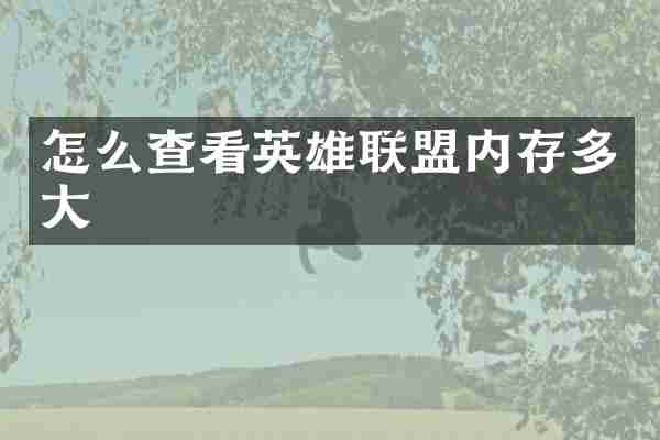 怎么查看英雄联盟内存多大