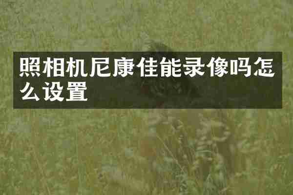 照相机尼康佳能录像吗怎么设置