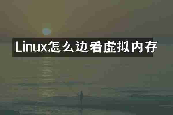 Linux怎么边看虚拟内存