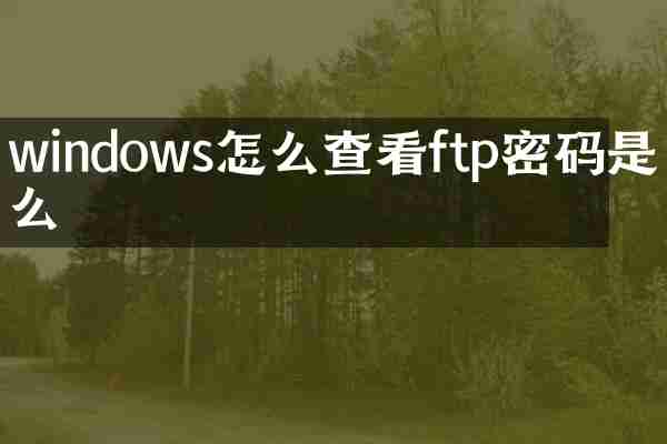 windows怎么查看ftp密码是什么