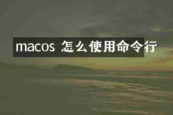 macos 怎么使用命令行