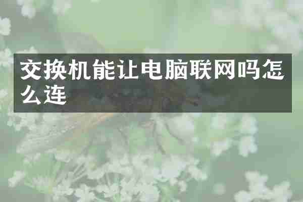 交换机能让电脑联网吗怎么连