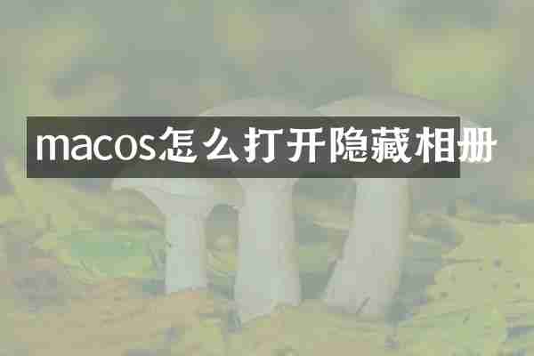 macos怎么打开隐藏相册