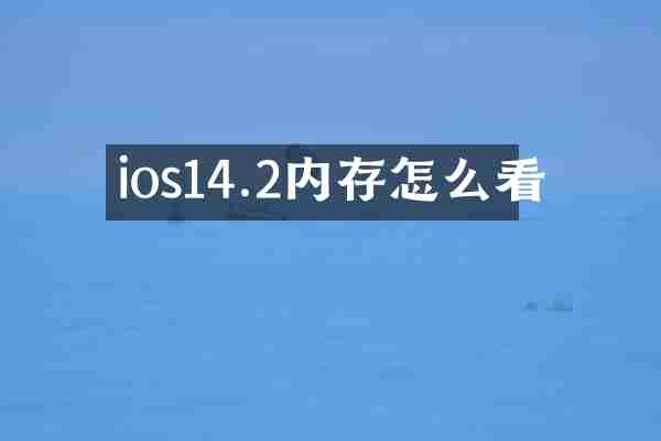 ios14.2内存怎么看