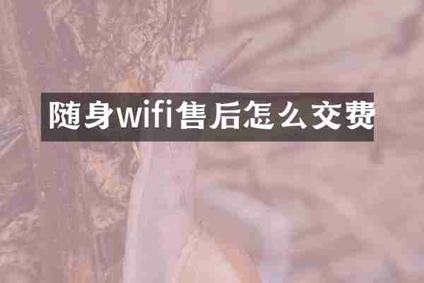 随身wifi售后怎么交费