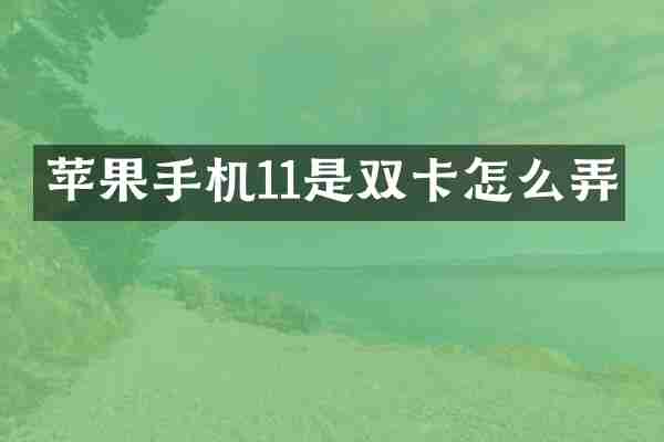 苹果手机11是双卡怎么弄