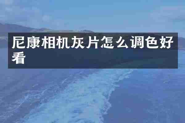 尼康相机灰片怎么调色好看