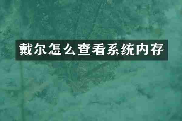 戴尔怎么查看系统内存