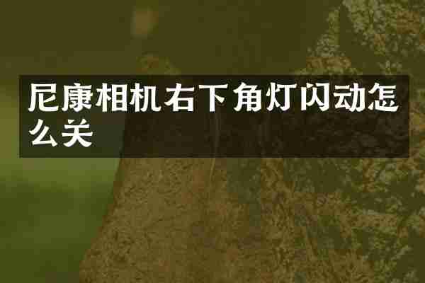 尼康相机右下角灯闪动怎么关