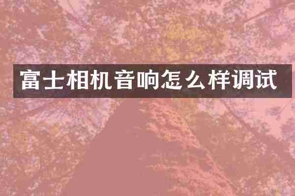 富士相机音响怎么样调试