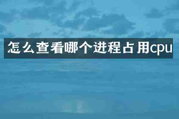 怎么查看哪个进程占用cpu