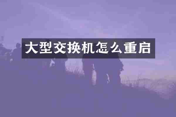 大型交换机怎么重启