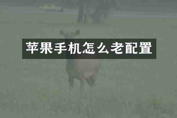 苹果手机怎么老配置