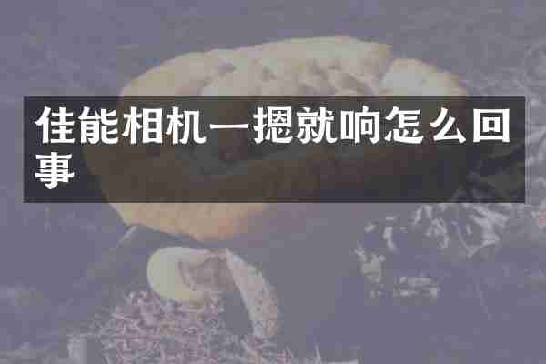 佳能相机一摁就响怎么回事