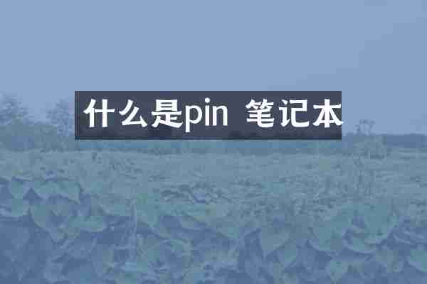 什么是pin 笔记本