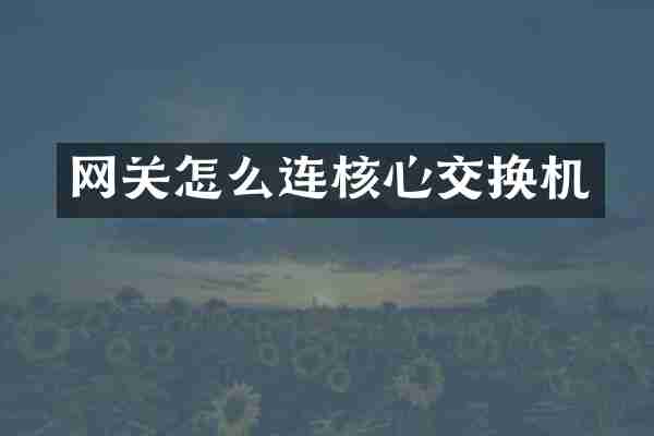 网关怎么连核心交换机