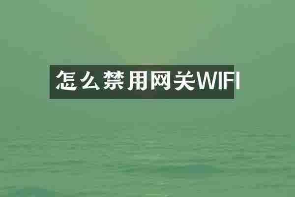 怎么禁用网关WIFI
