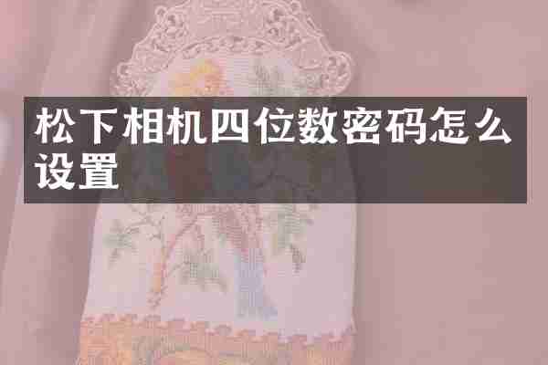 相机四位数密码怎么设置