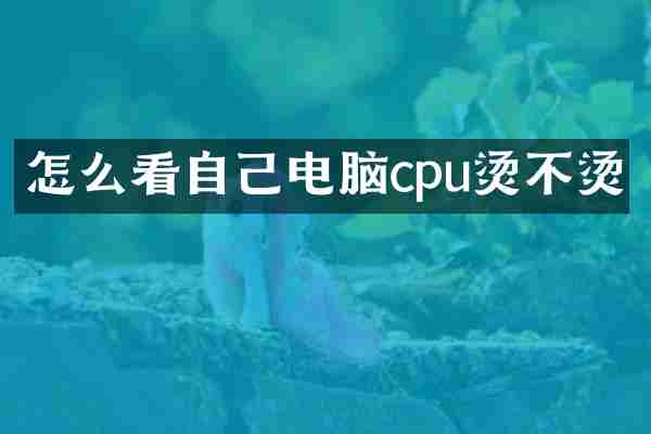怎么看自己电脑cpu烫不烫