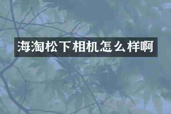 海淘相机怎么样啊