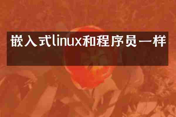 嵌入式linux和程序员一样吗
