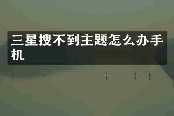 三星搜不到主题怎么办手机