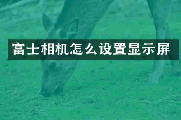 富士相机怎么设置显示屏