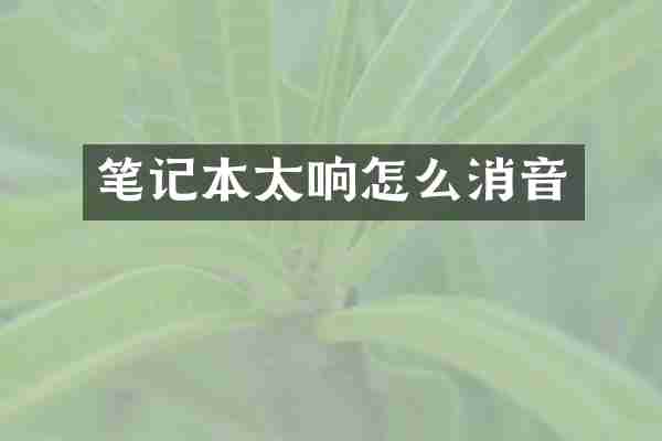 笔记本太响怎么消音