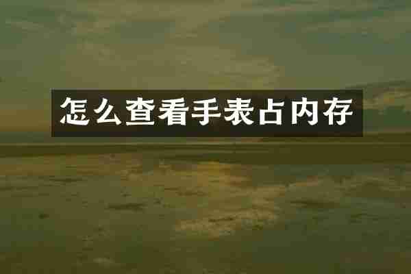 怎么查看手表占内存