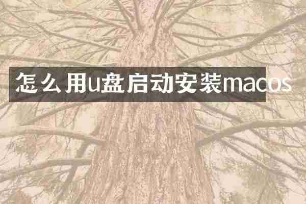 怎么用u盘启动安装macos