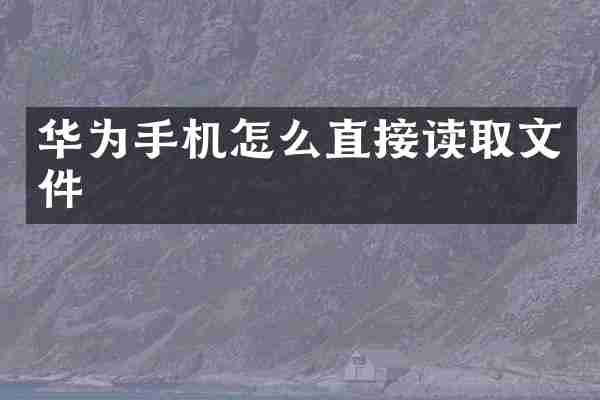 华为手机怎么直接读取文件
